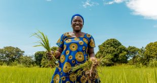 Nestlé Partners with Africa Food Prize to Strengthen Food Security, Climate Change Resilience