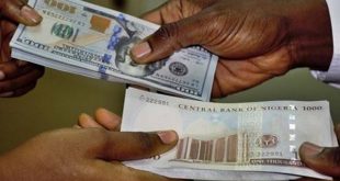 Naira Slides to 505/$ as CBN stops Forex Sale to BDCs