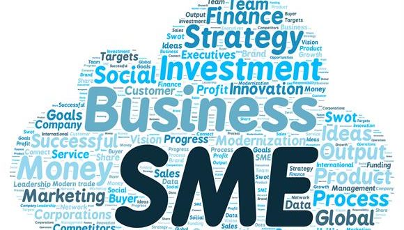 Digitisation: Tackling Access to Finance for SMEs By Michelle Knowles and Oladapo Adeigbe