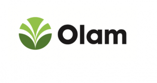 Olam Certified Top Employer in Africa for Second Consecutive Year