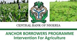 Anchor Borrowers’ Programme: CBN Disburses N948 Billion To Smallholder Farmers