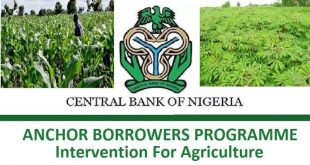 Anchor Borrowers: CBN to Empower More Farmers in Ogun State